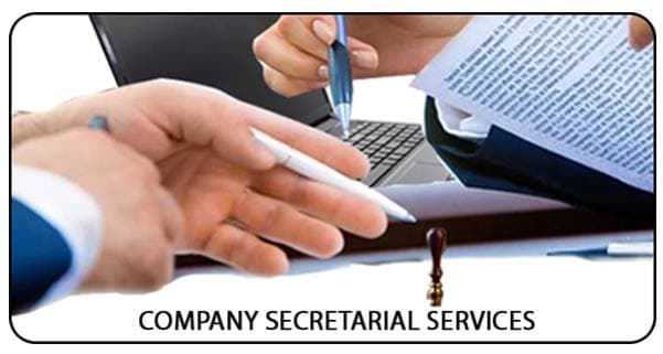 Company Secretary Service